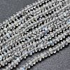Natural Labradorite Beads Strands G-F686-17-1