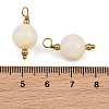Natural Freshwater Shell Pendants SH-CBA5EEC-10G-3