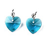 Faceted Transparent Glass Charms GLAA-T024-04D-2