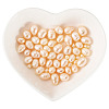 55Pcs 4 Styles Natural Cultured Freshwater Pearl Beads PEAR-TA0001-18-1