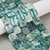 Natural Glass Beads Strands G-Z106-E01-1