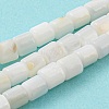 Natural Freshwater Shell Beads Strands SHEL-F008-04A-2