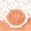 FGB Frosted Transparent Glass Seed Beads SEED-N013-03A-04-2
