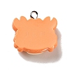 Opaque Resin Pendants X-RESI-G043-E04-B-3