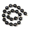 Natural Larvikite Beads Strands G-C249-A07-16mm-4