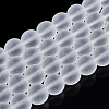Transparent Glass Beads Strands LS-GLAA-T032-T10mm-MD13-1