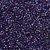 MIYUKI Delica Beads X-SEED-J020-DB1756-3