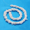Natural Sea Shell Chips Beads Strands BSHE-Q024-02-2