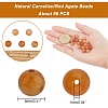Natural Red Agate Beads Strands G-AR0003-48-2