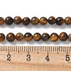 Round Tiger Eye Beads Strands Z0RQT011-AB-2