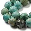 Natural Peruvian Turquoise(Jasper) Beads Strands G-A219-A05-04-3
