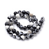 Natural Zebra Jasper Beads Strands G-S259-39-10mm-2