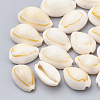 Cowrie Shell Beads SSHEL-T004-07-1