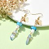 Dyed Natural Quartz Crystal Nugget & Mushroom Lampwork Dangle Earrings EJEW-TA00335-01-2