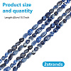 GOMAKERER 2 Strands Natural Sodalite Nuggets Beads Strands G-GO0001-43-2