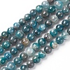 Natural Apatite Beads Strands G-L554-01-6mm-1