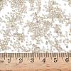 FGB 15/0 Grade A Glass Seed Beads SEED-A023-F15-H634-4