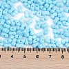 Baking Paint Glass Seed Beads SEED-K010-A20-4