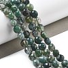 Natural Moss Agate Beads Strands G-C179-A21-02-1