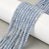 Natural Angelite Beads Strands G-R013-B02-4x3mm-1