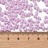 Glass Seed Beads SEED-K009-02A-06-4