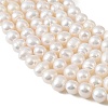 Natural Cultured Freshwater Pearl Beads Strands PEAR-L034-16C-3