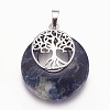 Natural Sodalite Pendants G-F573-C14-2