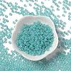 Glass Seed Beads SEED-H002-E-A1419-2