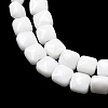Opaque Glass Beads Strands GLAA-L050-C24-3