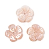 Natural Pink Shell Carved Beads SSHEL-I026-12B-02-1