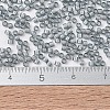 MIYUKI Delica Beads SEED-X0054-DB1793-4