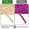 FGB 12/0 Grade A Round Glass Seed Beads SEED-R008-142-2
