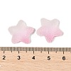 Imitation Candy Food Style Resin Cabochons RESI-R461-02K-3