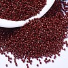 MIYUKI Delica Beads X-SEED-J020-DB2120-1