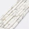Natural Howlite Beads Strands G-E342-15-1