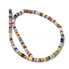 Handmade Lampwork Beads Strands LAMP-Q037-02A-09-2