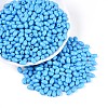 Baking Paint Glass Seed Beads SEED-T007-15N-3