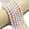 Natural Malaysia Jade Beads Strands G-L645-A01-12mm-26-3