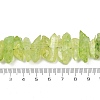 Natural Crackle Quartz Beads Strands G-R012-B06-08-2