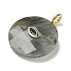 Natural Labradorite Faceted Pendants G-A287-02G-13-2