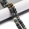 Natural Chrysocolla Beads Strands G-K380-A17-01-2