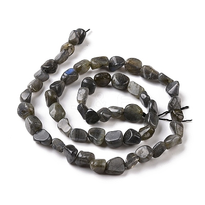 Natural Larvikite Beads Strands G-A208-08-1