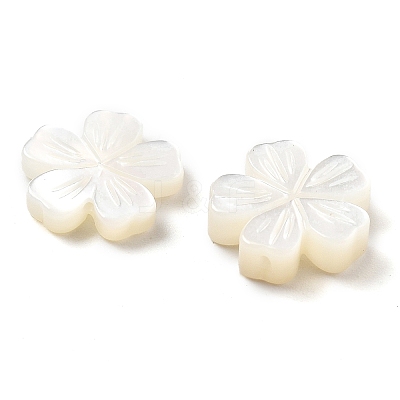Natural White Shell Carved Beads SSHEL-Z002-02A-1