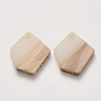 Transparent Resin & Wood Pendants RESI-S384-003A-C01-1