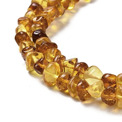 Natural Amber Beads Strands G-L095-L01-01-1