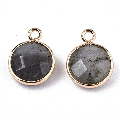 Natural Labradorite Pendants G-T131-101A-1