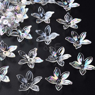 Transparent Acrylic Beads MACR-S373-102-C07-1