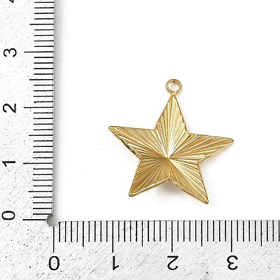 304 Stainless Steel Pendants LS-STAS-B092-08C-G-1