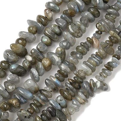 Natural Labradorite Beads Strands G-I225-15A-1