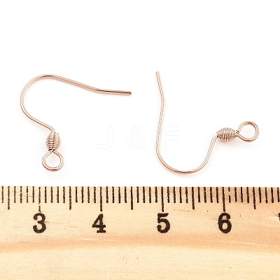 304 Stainless Steel Earring Hooks STAS-E484-55RG-1